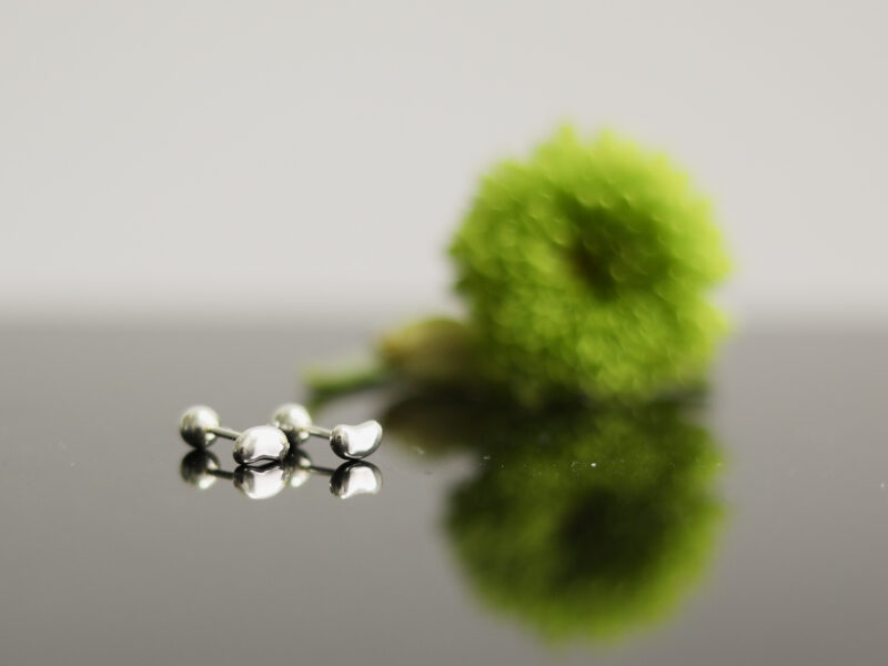 Small Stud Earrings Glossy Bean Screw Nut